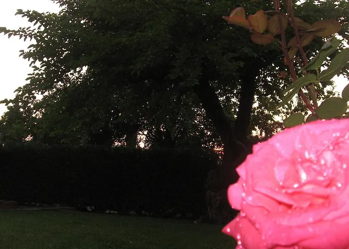 Séjour à la ferme Cortecoraman *