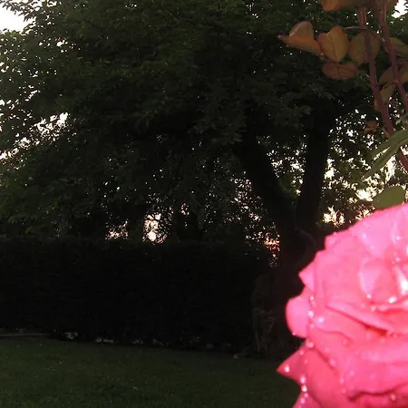 Vakantieboerderij Cortecoraman *